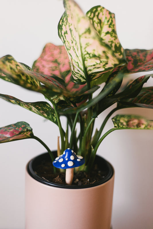 Deep Blue Mushroom Plant Decoration