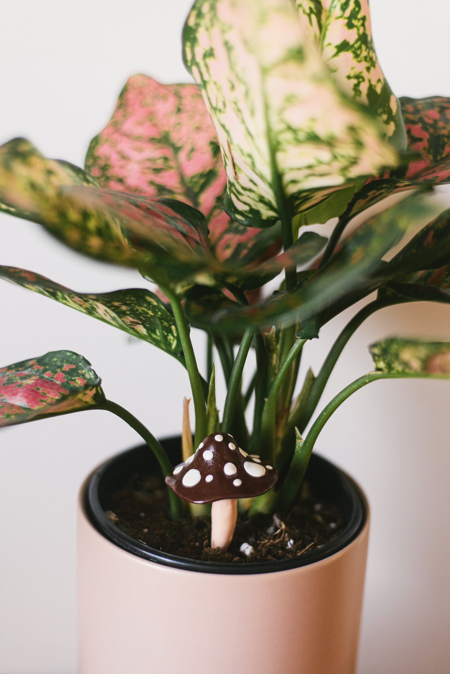 Brown Mushroom Plant Decoration