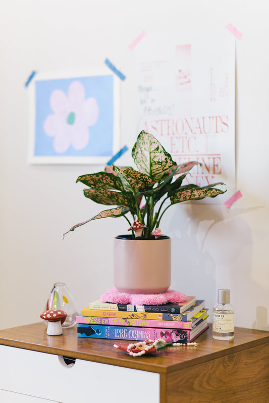 Dusty Pink Mushroom Plant Decoration