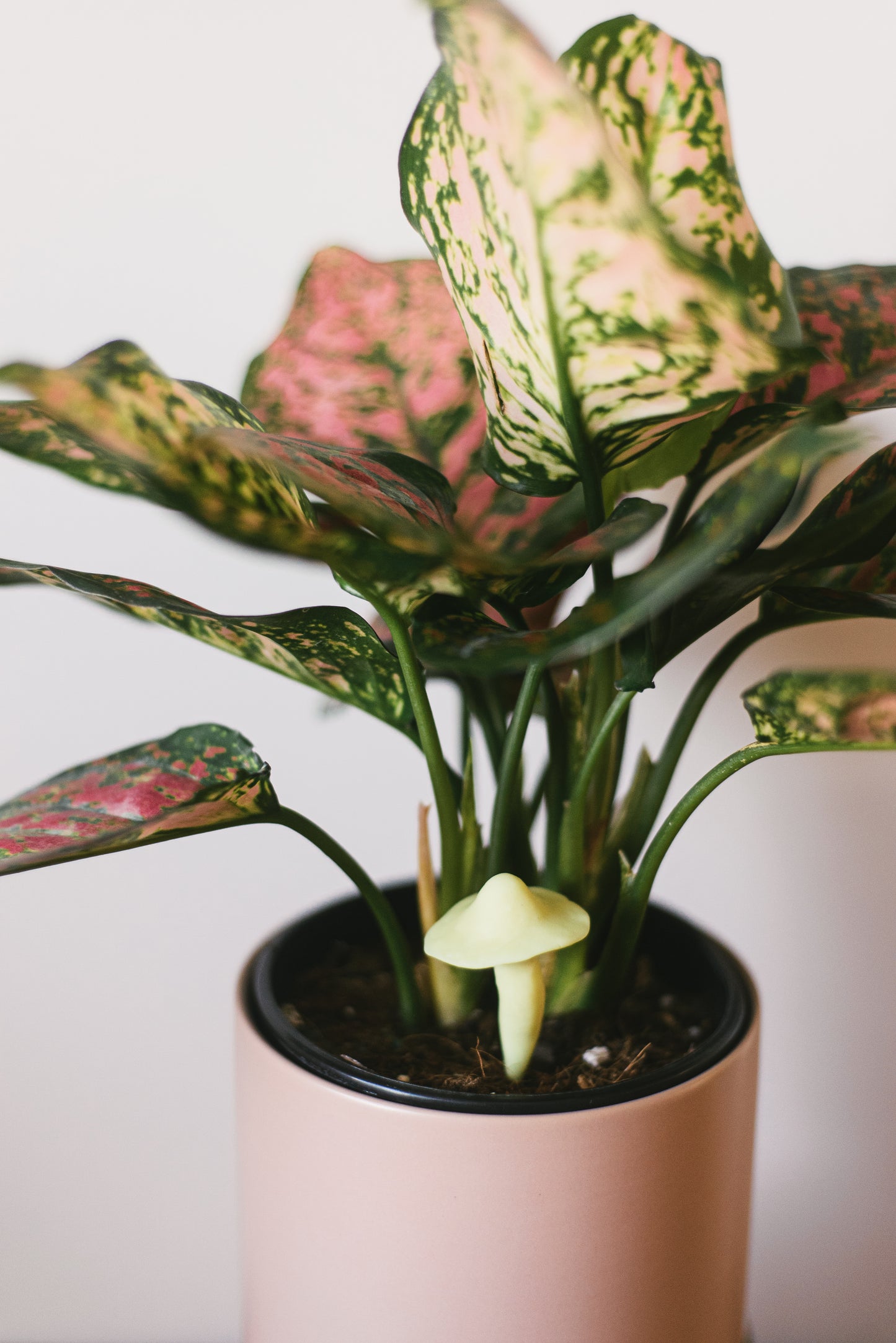 Glow in the Dark Mushroom Plant Decoration