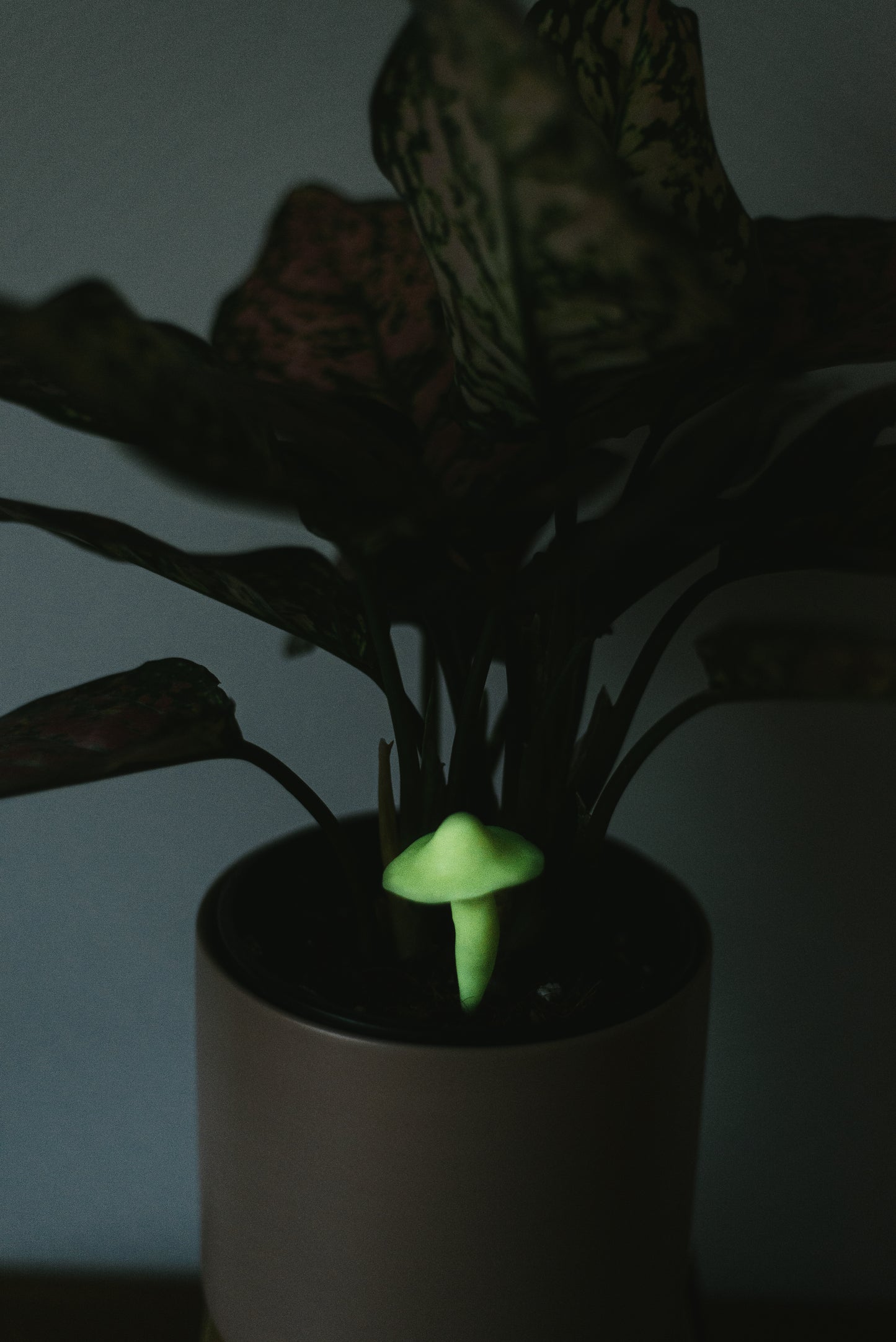 Glow in the Dark Mushroom Plant Decoration