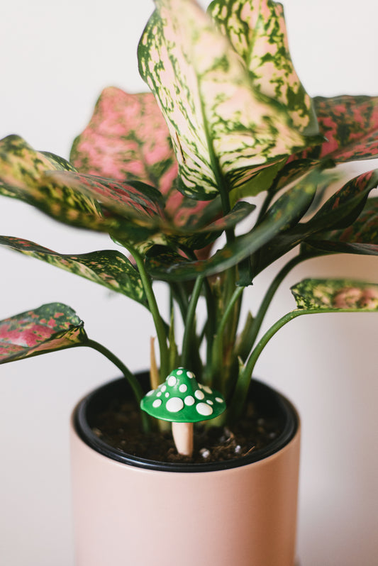 Leaf Green Mushroom Plant Decoration