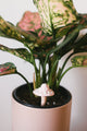 Light Pink Mushroom Plant Decoration