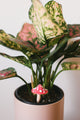 Magenta Glitter Mushroom Plant Decoration