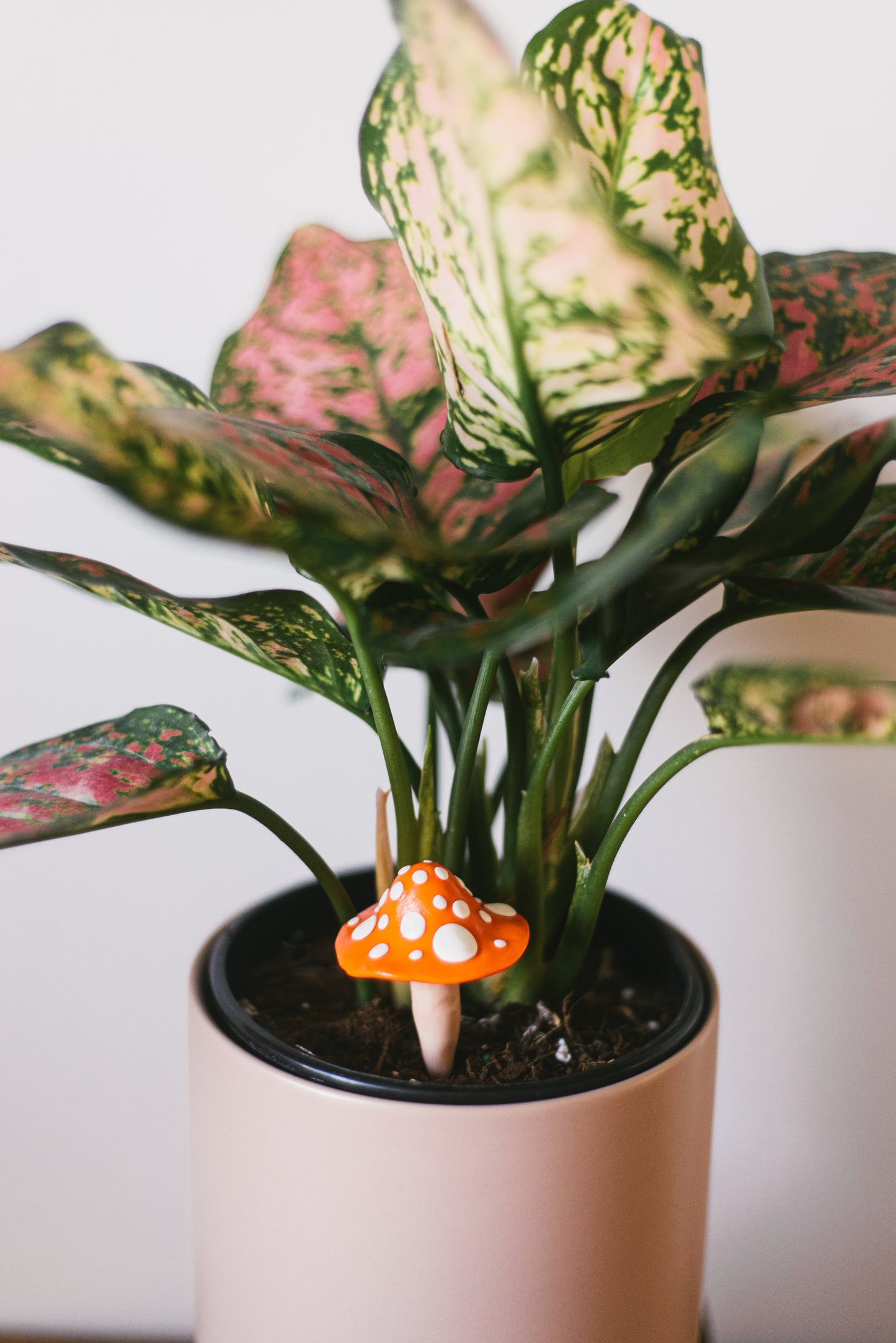 Orange Mushroom Plant Decoration