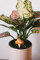 Orange Mushroom Plant Decoration