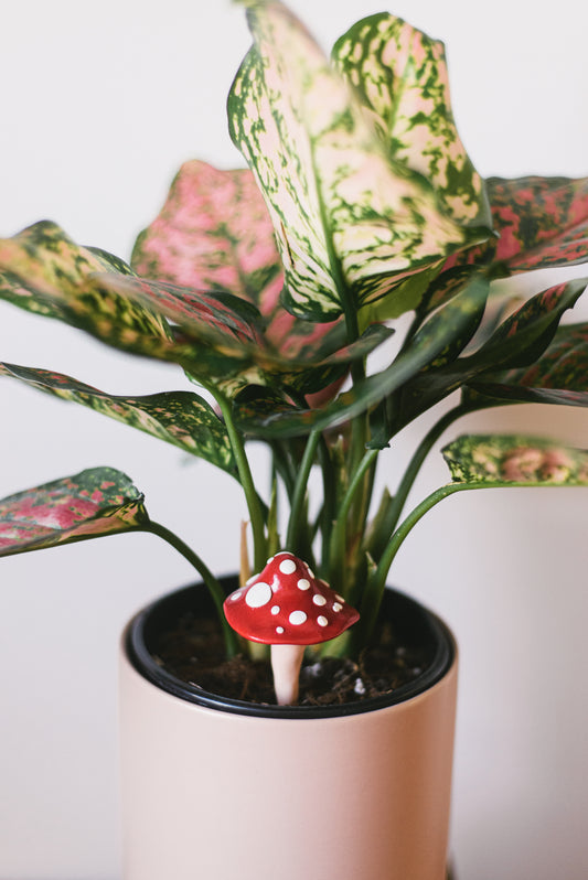 Red Mushroom Plant Decoration