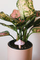 Rose Quartz Mushroom Plant Decoration