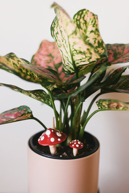 Red Mushroom Plant Decoration