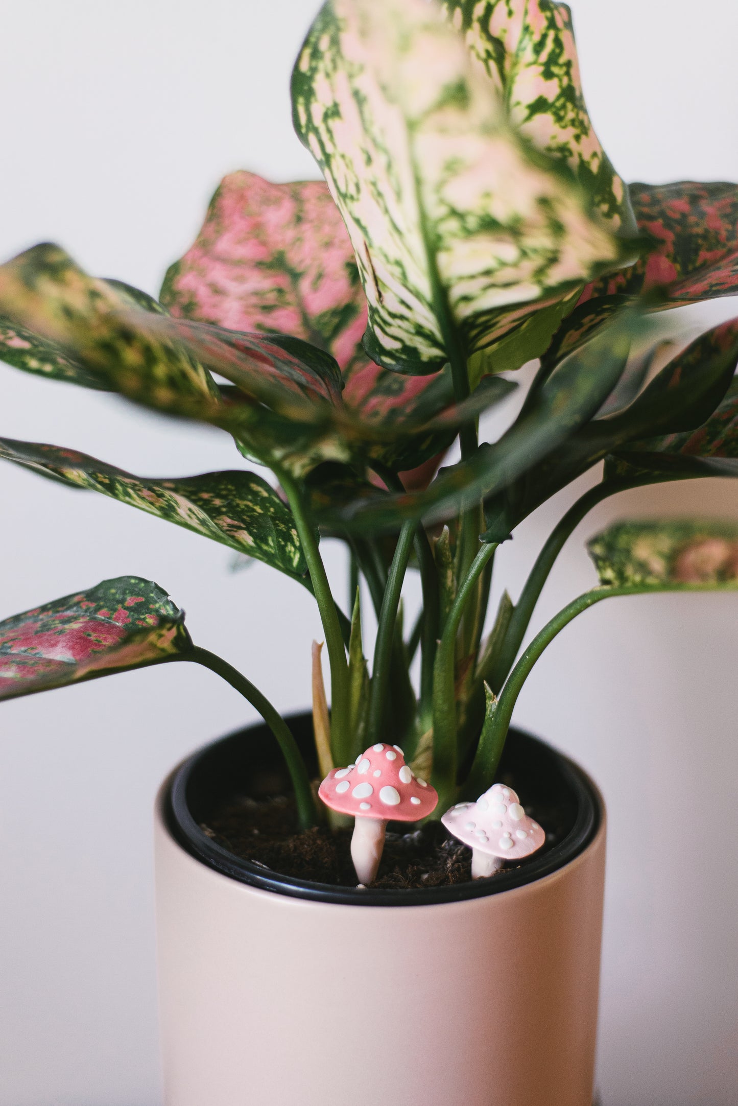 Leaf Green Mushroom Plant Decoration