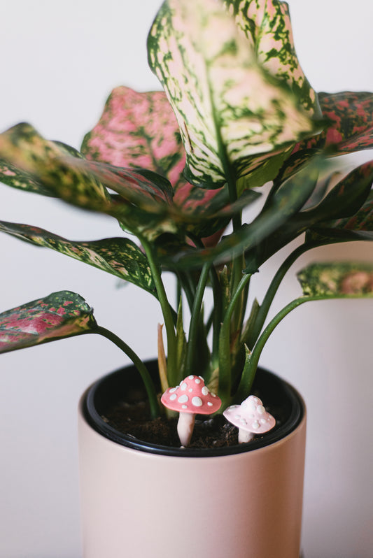 Baby Blue Mushroom Plant Decoration