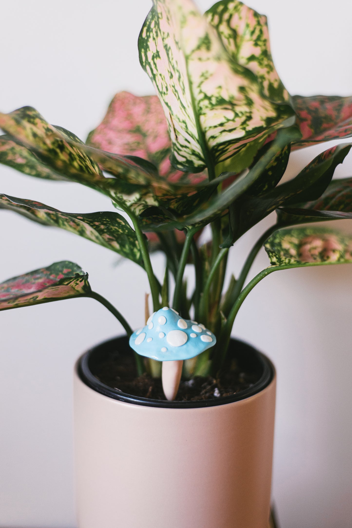 Baby Blue Mushroom Plant Decoration